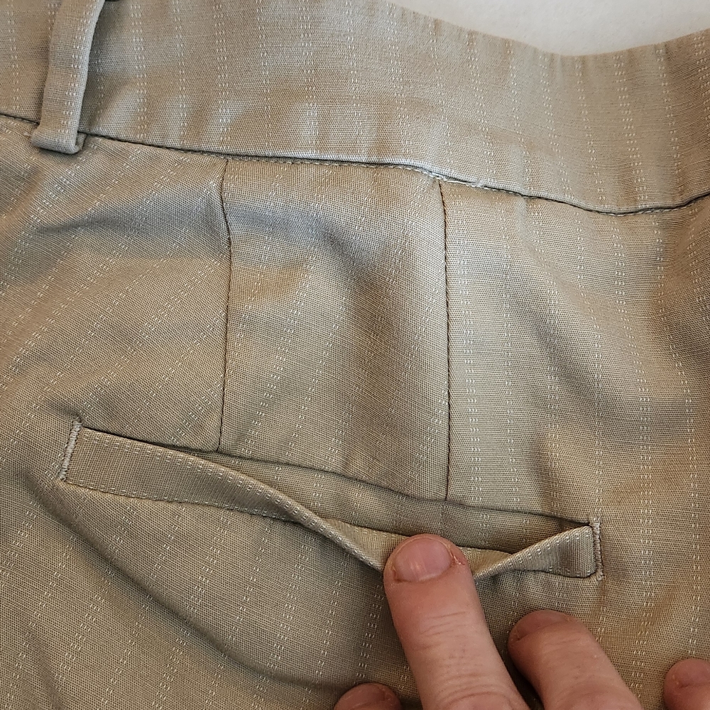 Lane Bryant Beige Pinstripe Trousers - Picture 3 of 12
